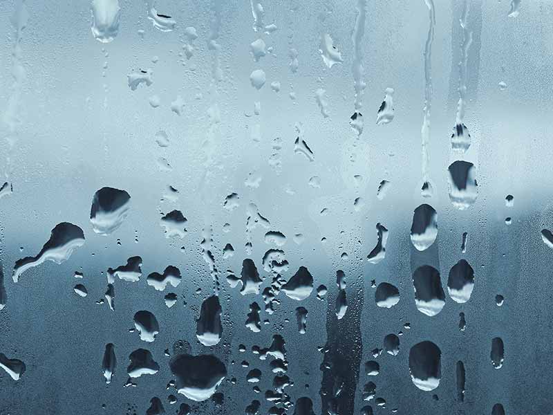 Kondenswasser an den Fenstern und die Folgen - MGN-Pura